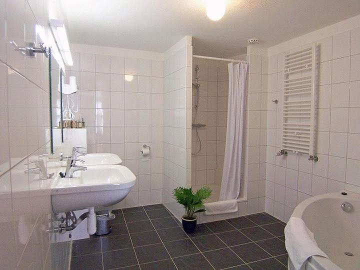 De Vier Heemskinderen IJzendijke Cameră foto