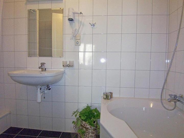 De Vier Heemskinderen IJzendijke Cameră foto